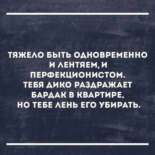 0dfce5d80c98e763ebac5eca51523236.jpg