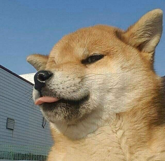 0e037e9e8c36ca84a7a59bf288bcfb0d.jpg