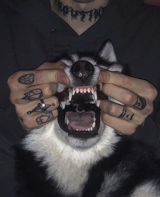0e14e878d68fa2d9e6387364f0cd04f0.jpg