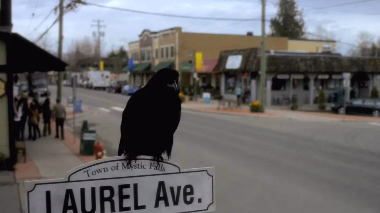 0e1ab1d4558bb01551eabd3f66d59f40.avif