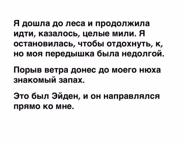 0e1ed4b9642de19039bbcd67d33d3af2.avif
