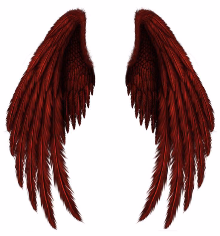0e204a71e823932b00414d2e0aaf6b53.avif