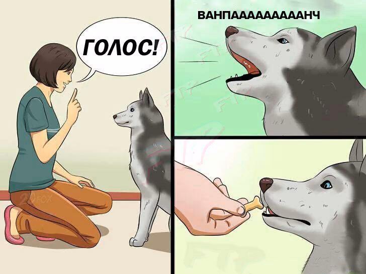 0e234eefc8c65b5a0ad85d44a700f5d8.jpg