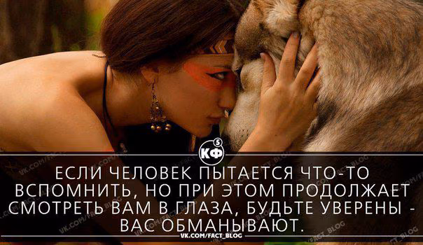0e274255b6cfe86948a98ec02f985fc2.avif