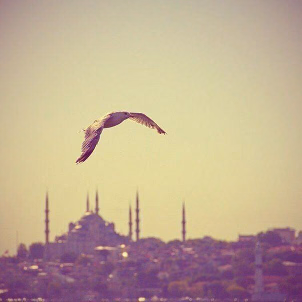 0e2770d3be8a0fb6e218754f743c2dbd.avif