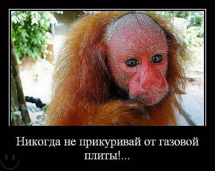 0e4b34ba6ea352eb82698e52d6d326fa.avif