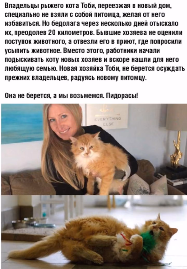 0e4ea98b30fea8f5234f0dce960eb16b.avif