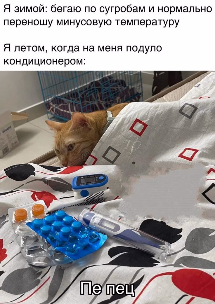 0e5429f307622d28ce990e0aba2ddedc.avif