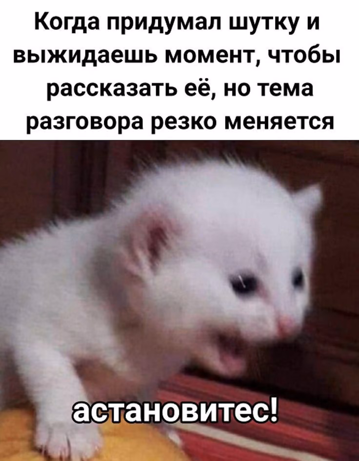 0e57c569a32ef6e0a3d012d5ee447151.avif