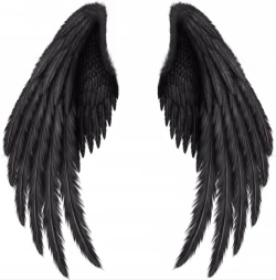 0e6149e02edd8bf1e28c9f3e26f72bc3.avif