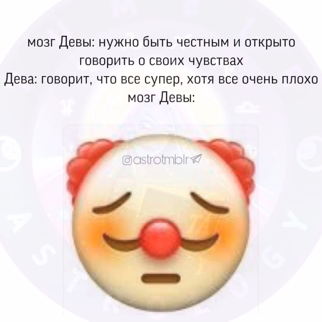 0e73383ef95a5202d81bd0fd34854e01.avif