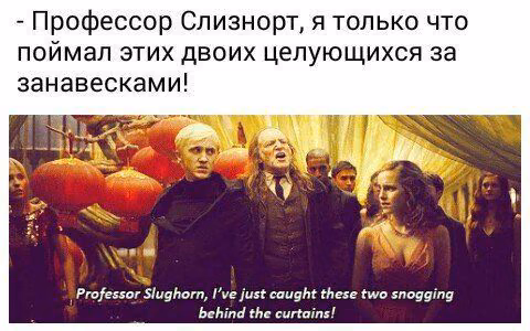0e7b87f313255a2a0a136ed958488e75.jpg