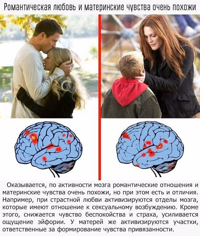 0e8eb8bc514dfd3730ba4912fcb31bd4.jpg