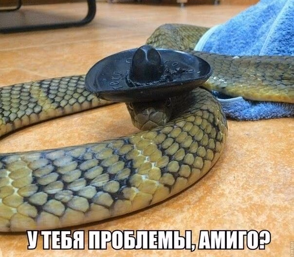 0e91d7ac6ee6af037714474f54b71fa4.jpg
