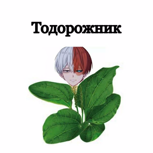 0eb7b3b2992682d9c99a4f602eb38c7f.avif