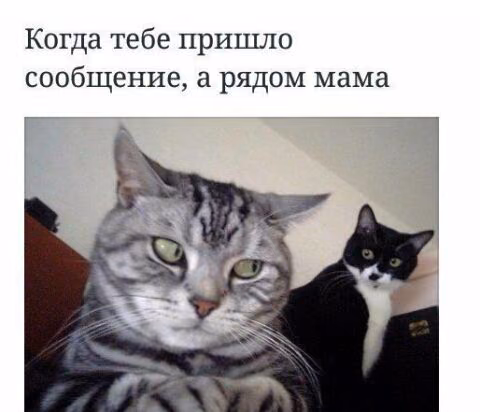 0ecdff68f5fb6cd829abbff0ac5110c1.jpg