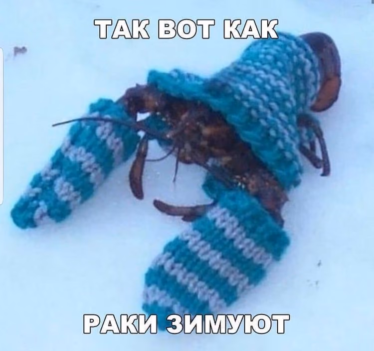 0ef2aece948dfa6f19bb605170b7d384.jpg