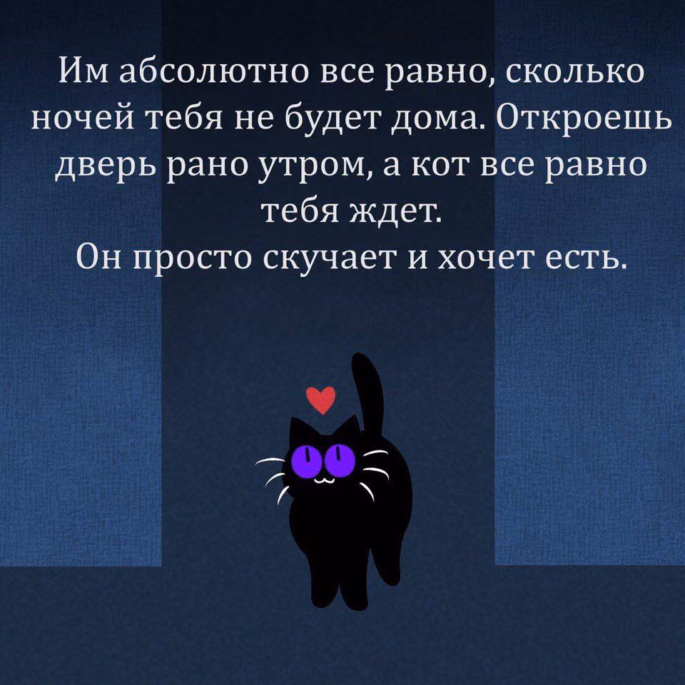 0efe5a44722e9ccf06ba04bf0216692b.jpg