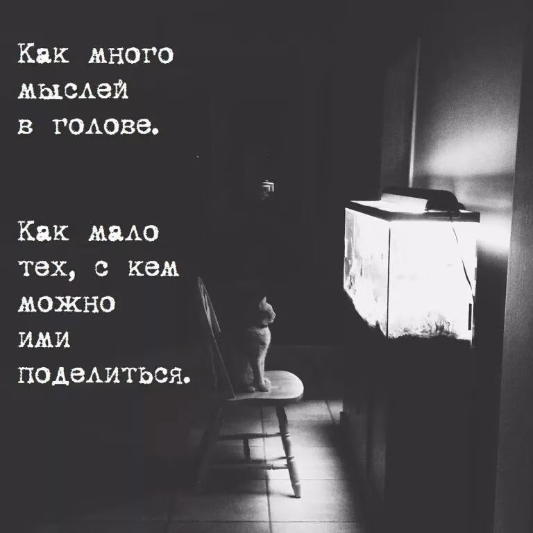 0f05319d83a8be0f563011c58911be05.jpg