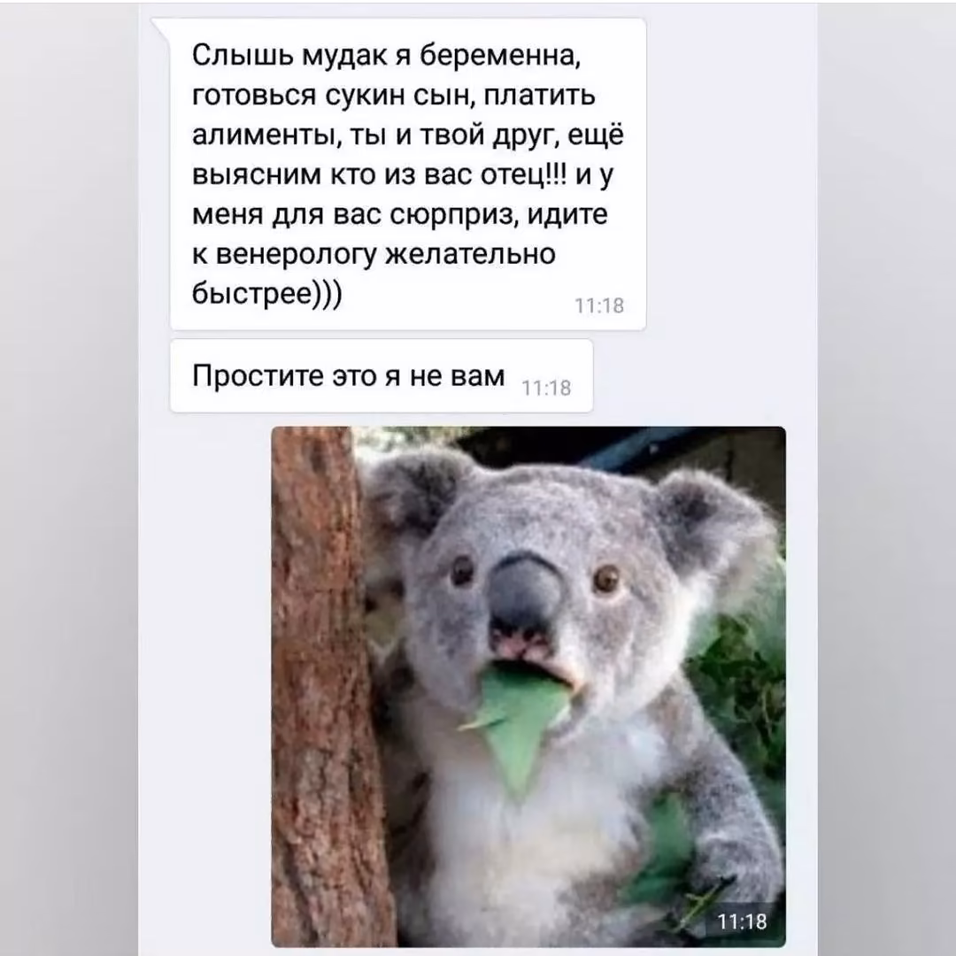 0f1337ec4177ba532538a79c00f47dce.avif