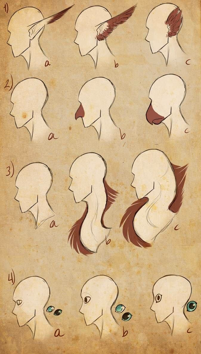 0f21c2d95ee1a9506e2ee6db237ad74b.jpg
