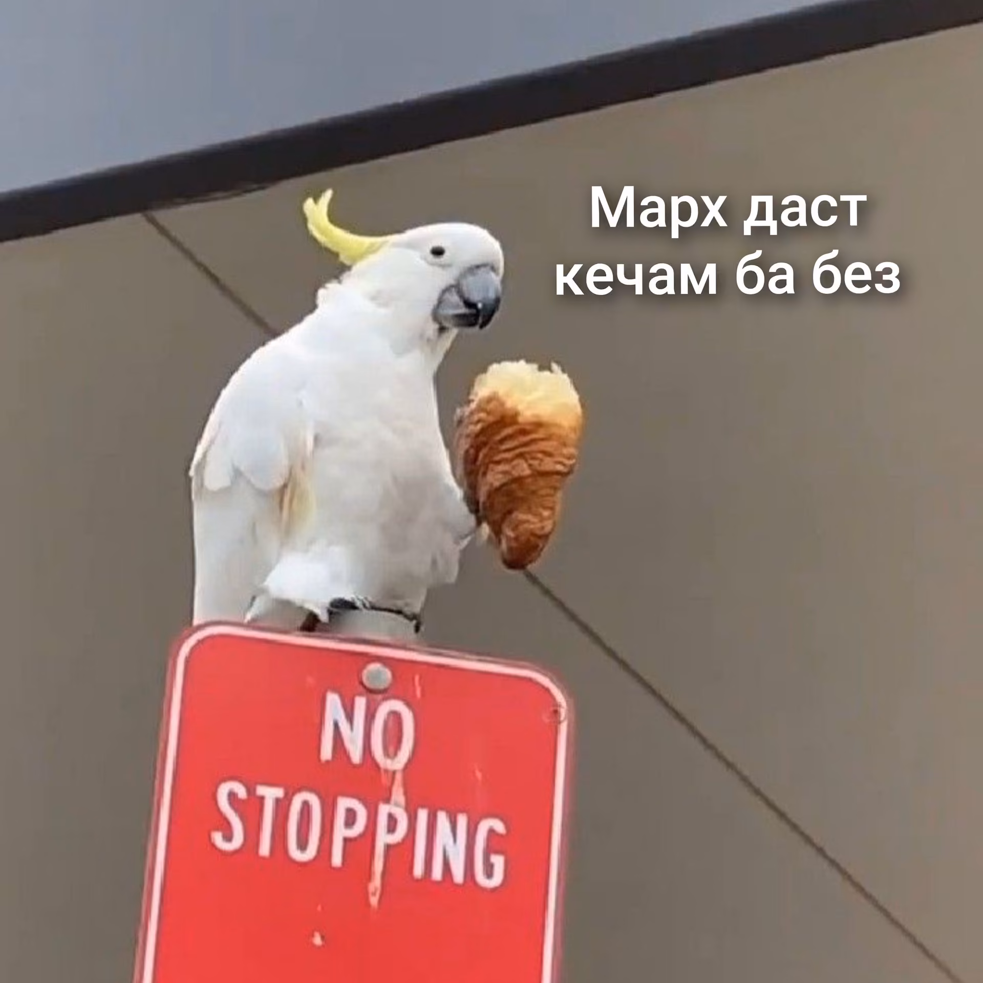 0f2d5520fe2440fb75da696074b5a09f.avif