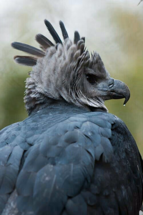 0f4eb5d3de125ca1941e71450ac33859.avif