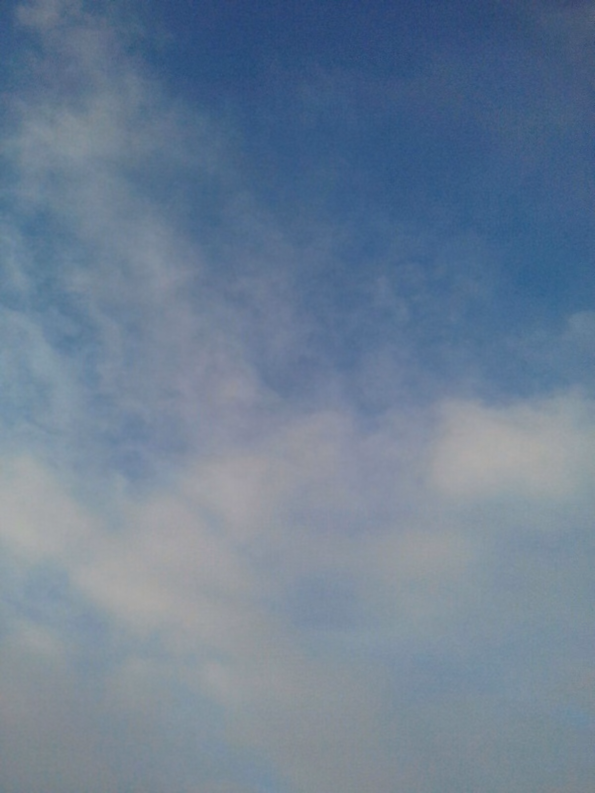 0f52930cf0cc9ccf1b27da951e7b4421.jpg
