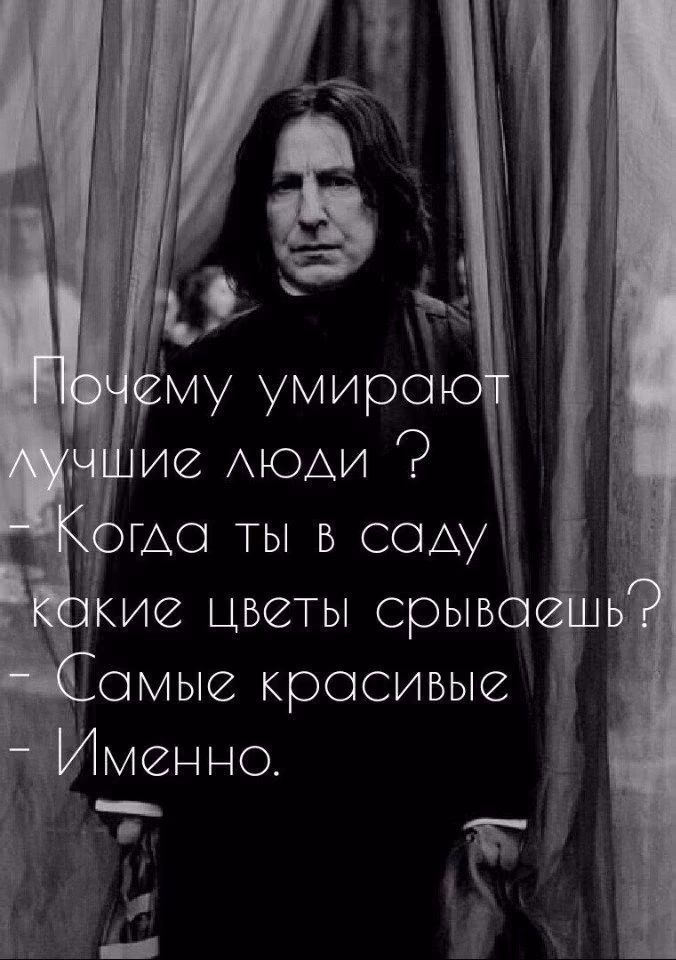 0f57c96cdd892588aac85db83e32c00a.avif
