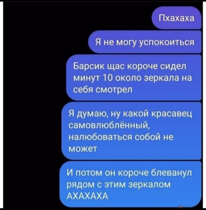 0f64471a4128dc6f21885c47df37adaa.avif