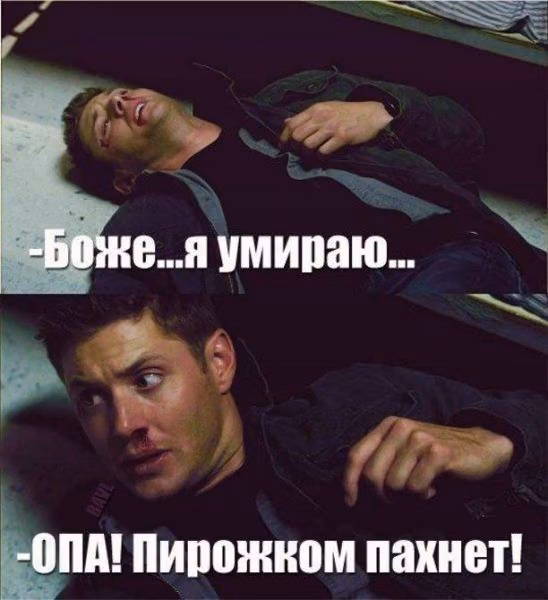 0f6844e3bd79f3e5a4d5001ebb012e04.avif