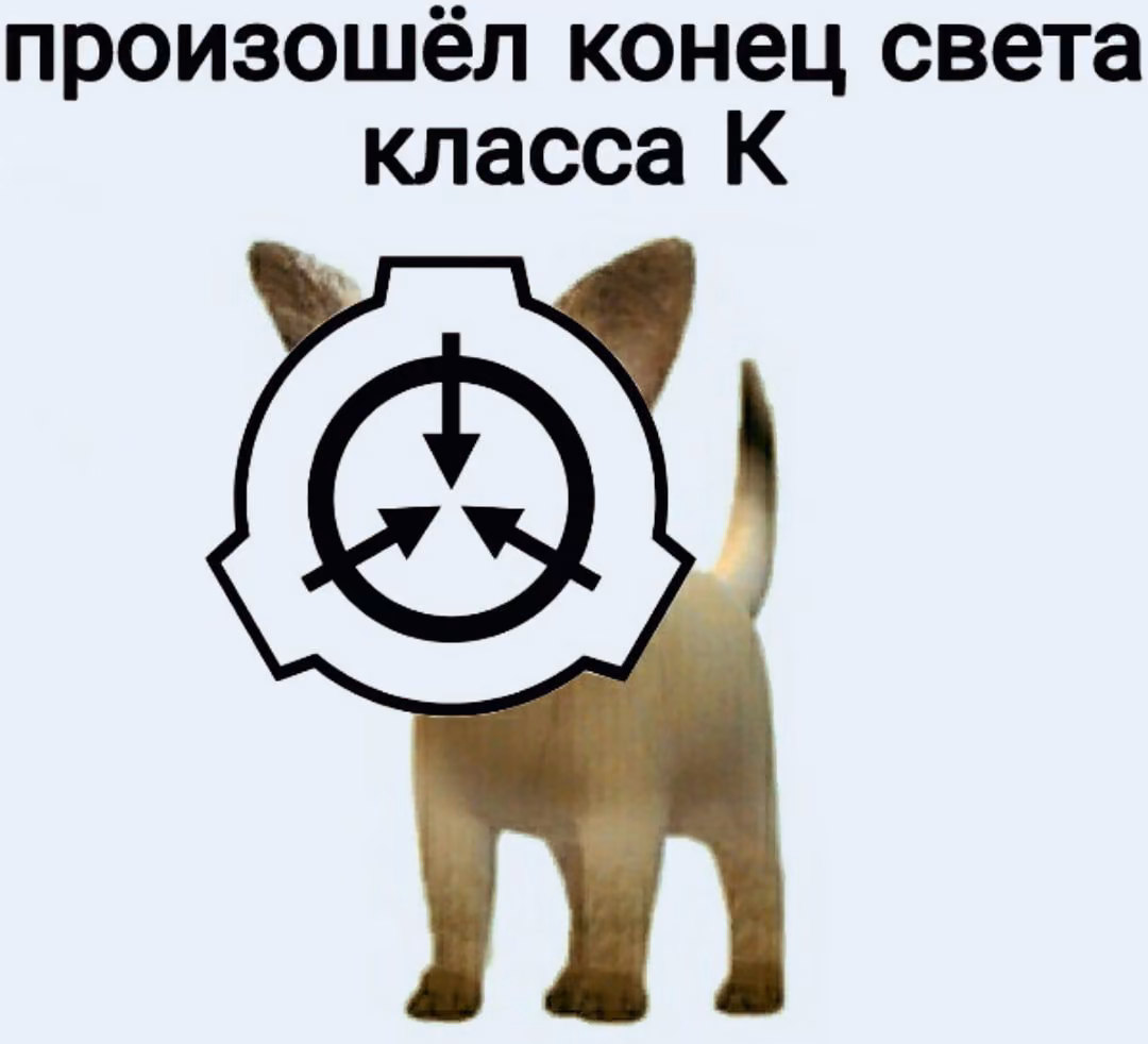 0f6f01c19aceb22d8855cb5b4ea0a14c.avif