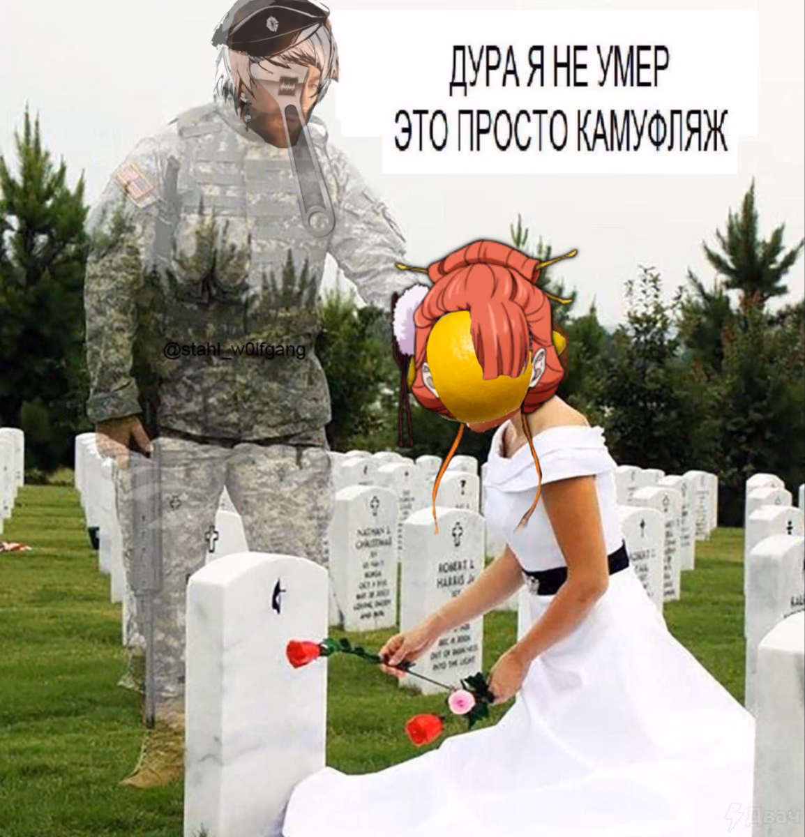 0f7a2d0edcb93a64488261ebbf055689.avif