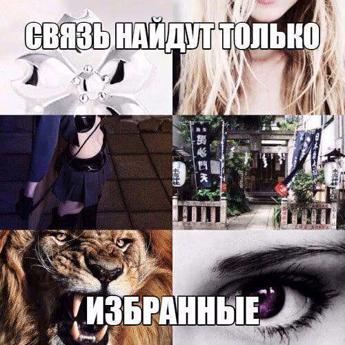 0f9c5f37680582285d40625e965082bd.jpg