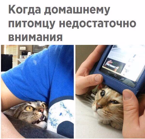 0fa6837aa8ce97a70a713ae8d55906b7.jpg