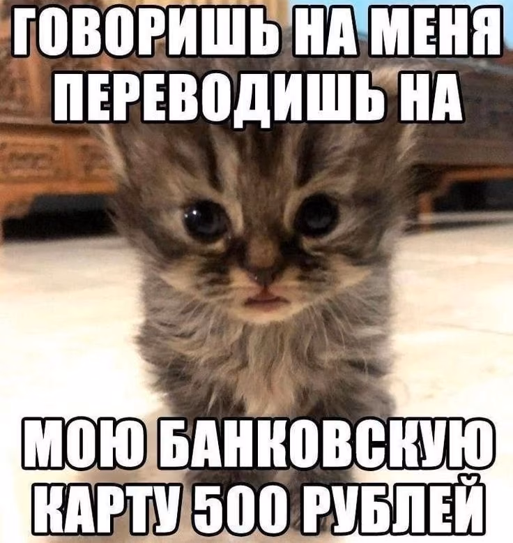 0faff496e31a03b91edf7772a857fffe.avif
