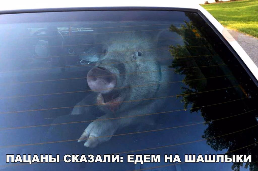 0fbce86ba9ac834a7e78934de674fe48.jpg