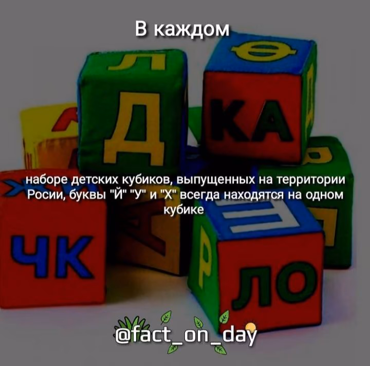 0fbea285f503253ba987a55ee3d03299.avif