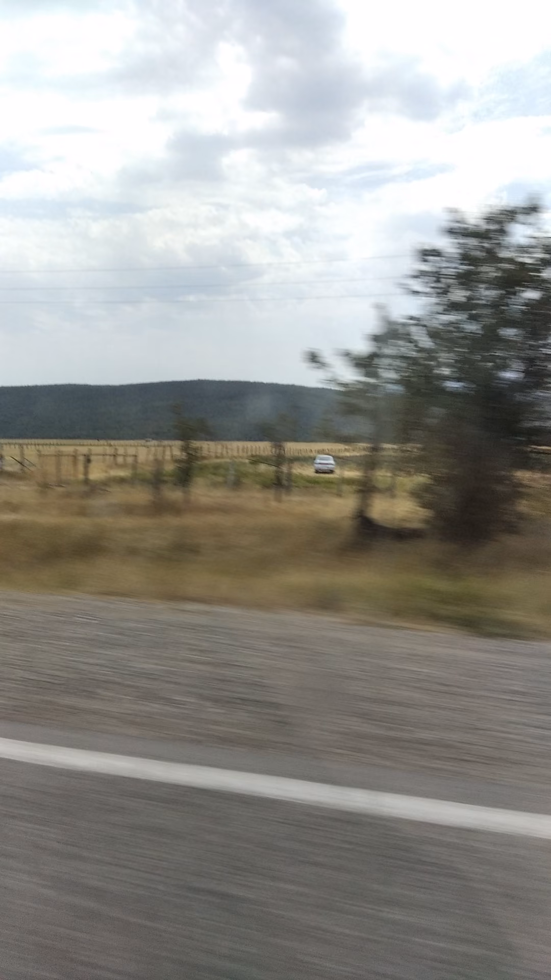 0fbf5005c194f4d4b2ca03f9a47ef625.jpg