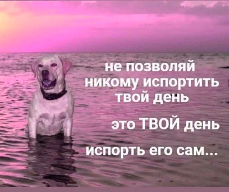 0fc7c0adb516690d8cf8e7f2f1dcf51f.jpg