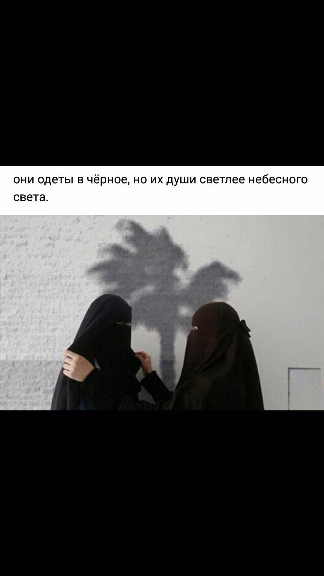 0fdad2ac7d4552b282592fb478de345f.jpg