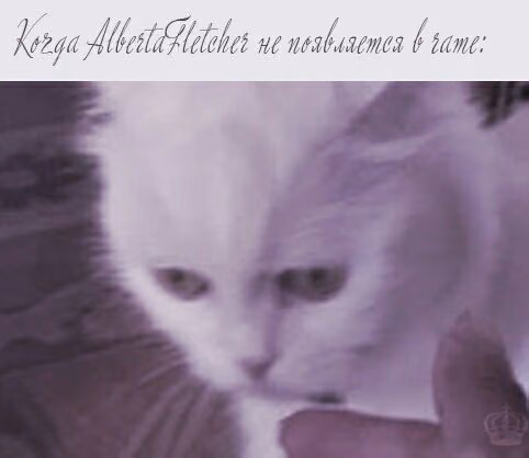 0fe5a6cda33ddc47c6c06643fd4d5d2a.jpg