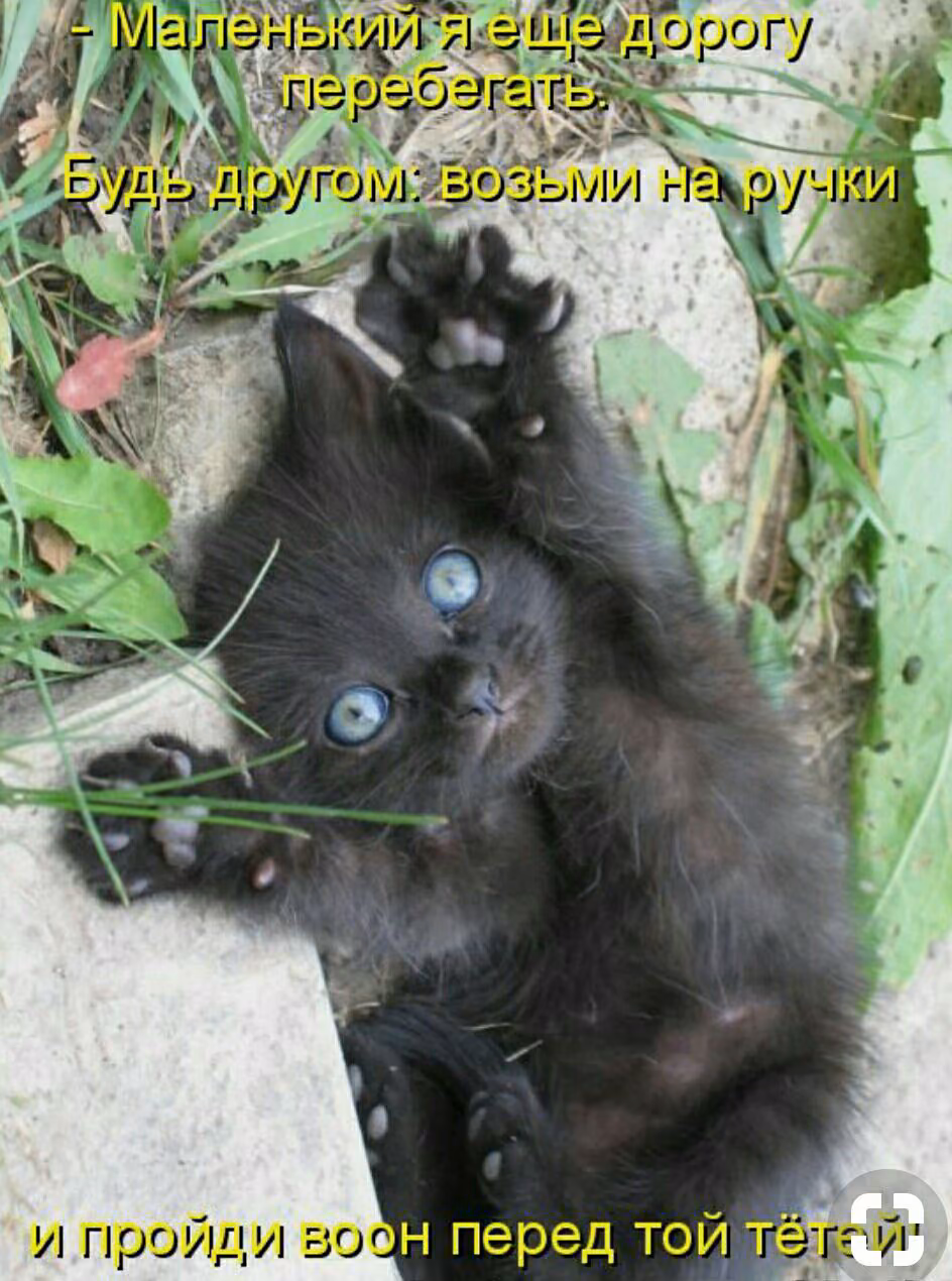 0fe70b6fe9d4fb70aaf95efa4dcd1516.jpg