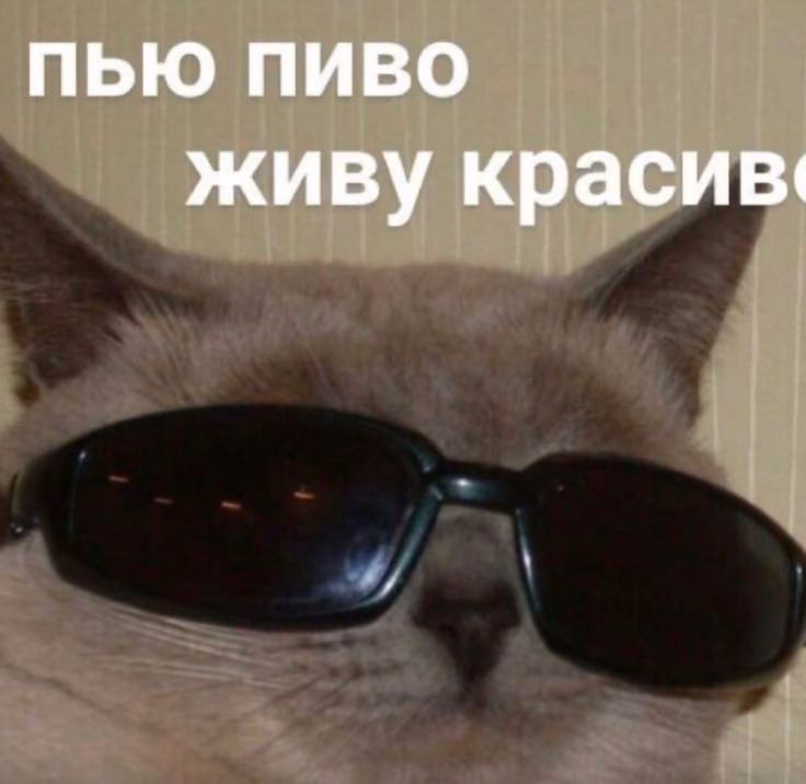 0ff2cb182165d84c4ae111ba5d5de346.avif