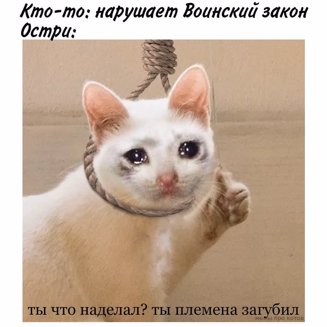 0ff6ec13b71f837239139d32740d6fea.avif
