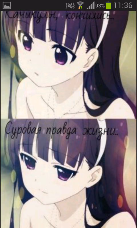 1000b2a9caf44bb9cf3c213a5aee3651.jpg