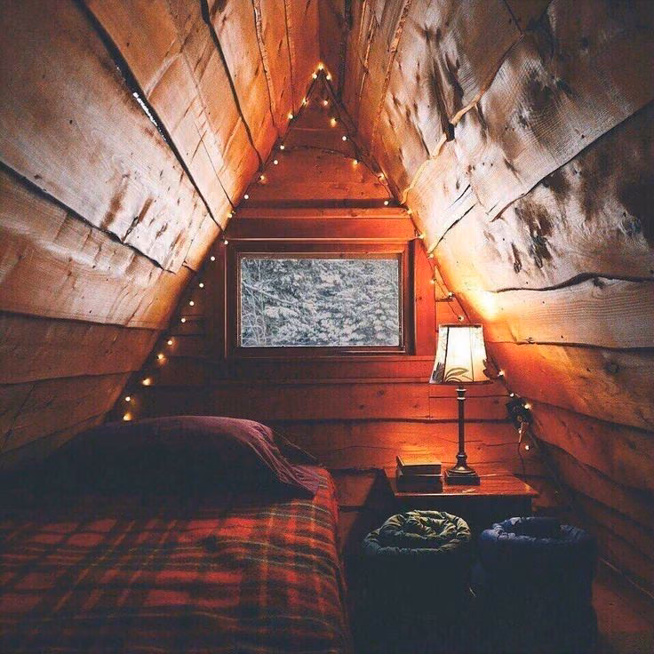 10016f82f109ed5dd55adbc40fadcf3c.jpg