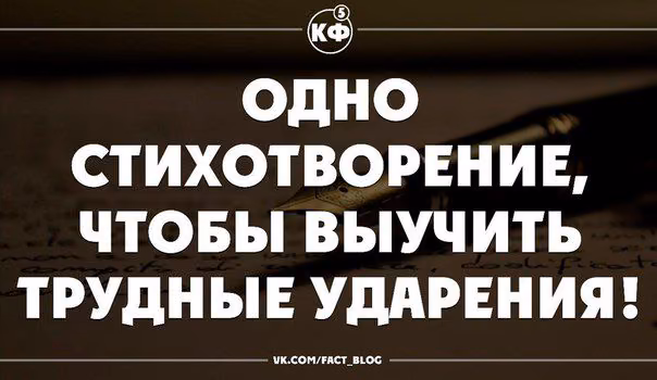 10031007d52d12f3e5159fe11dd757c7.avif