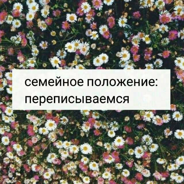 100a97c7c4259205d862400ba5cfa069.jpg