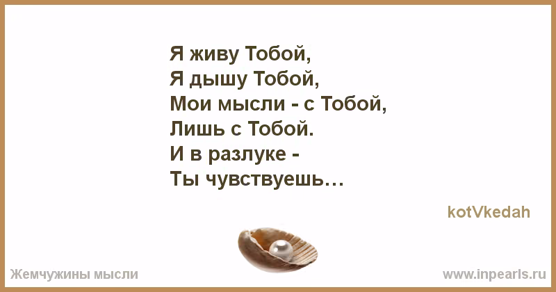 101509409b2796efb4a7b7329d98172d.avif